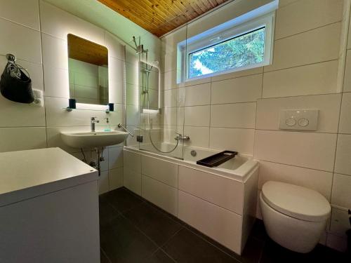 a bathroom with a toilet and a sink and a window at Alpenblick-Hotzenwald in Rickenbach