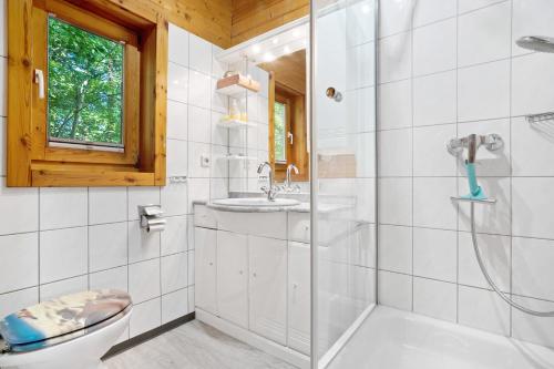 a bathroom with a shower and a toilet and a sink at Haus Reiher in Lychen