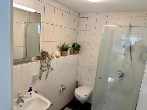 a bathroom with a shower and a toilet and a sink at Ruhige Ferienwohnung in Appenweier