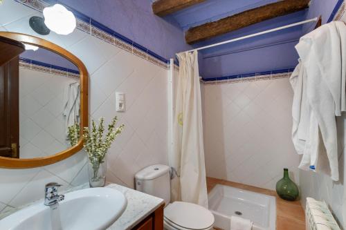 a bathroom with a sink and a toilet and a mirror at Cal Cabrer in Sant Jaume dels Domenys