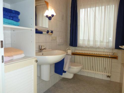 a bathroom with a sink and a toilet at Ferienwohnung am Wald Schuttertal in Schuttertal