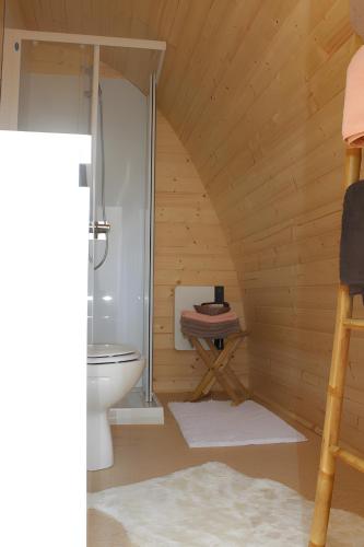 a bathroom with a toilet and a shower at Barrel Papilles En Escapade in Sevremont