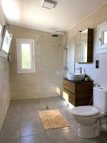 a bathroom with a toilet and a sink at Nina Apartment in Ágios Márkos