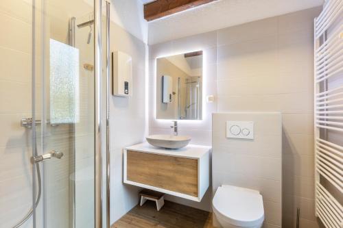 a bathroom with a sink and a toilet at Landhaus Sophie in Frielendorf
