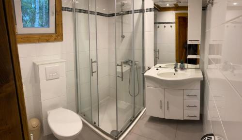 a bathroom with a shower and a toilet and a sink at Haus Sonnenschein in Dranske