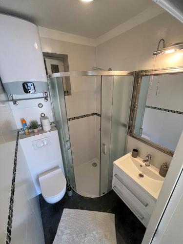 a bathroom with a shower and a toilet and a sink at Apartment with Sunset terrace in Mlini