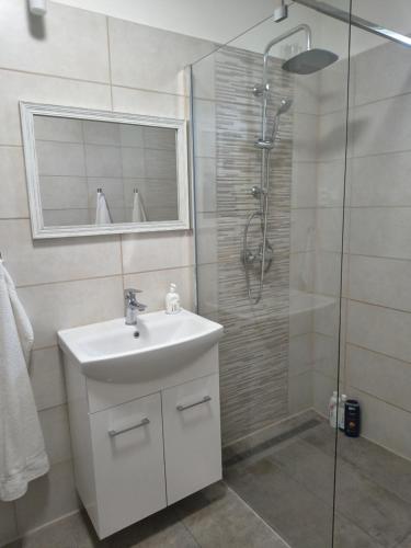 a bathroom with a sink and a shower at Vidiecky Dom in Mojmírovce