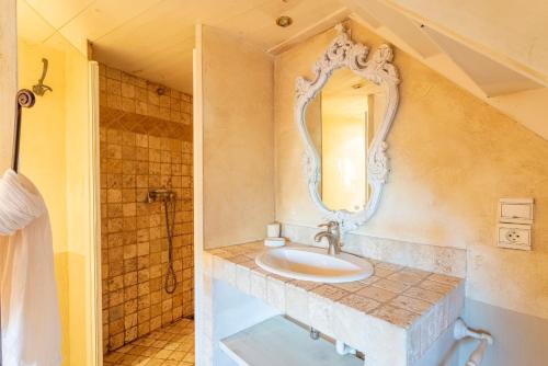 a bathroom with a sink and a mirror at Le Patio in Velleron