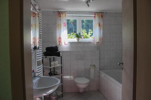 a bathroom with a sink and a toilet and a window at Ferienwohnung Haus am Wald in Judenbach