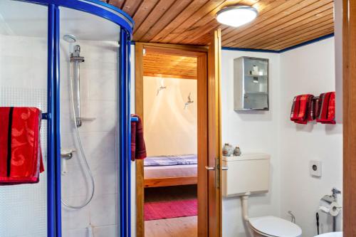 a bathroom with a shower and a toilet at Ferienwohnung Kleiner Strandfloh in Wangerooge