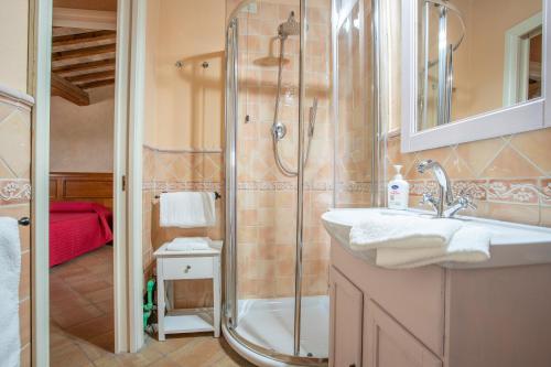 a bathroom with a shower and a sink at Appartamento Capraia in Riotorto