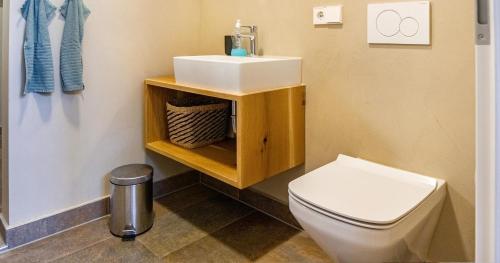 a bathroom with a white toilet and a sink at St Georgen Ferienwohnung 1 in Freiburg im Breisgau