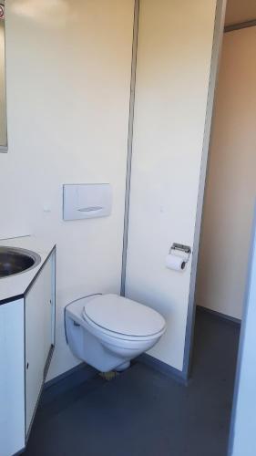 a white bathroom with a toilet and a sink at Studio Rozenbottel shared bathroom in Hensbroek
