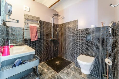 a bathroom with a shower and a toilet and a sink at Côté Cour in Rasteau