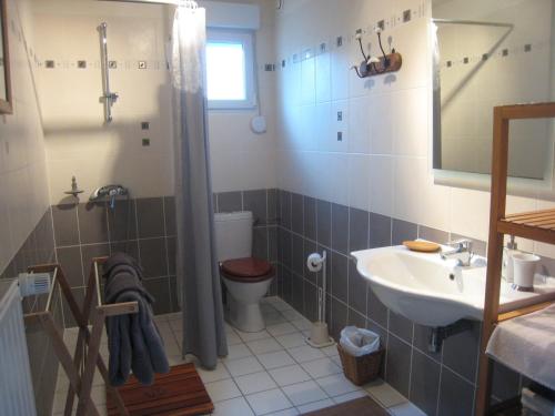 a bathroom with a toilet and a sink at Les Charmilles in Charny-sur-Meuse