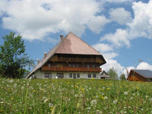 a house on top of a hill with a field of flowers at Klausenhof Schonach in Obertal