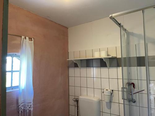 a bathroom with a glass shower and a toilet at Ferienhaus Sommerhaus Julin in Saal