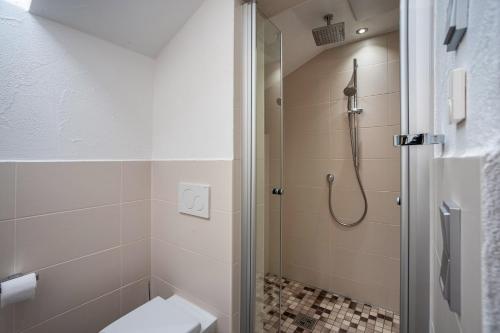 a bathroom with a shower and a toilet at Appartement Braun 1 in Bolsterlang