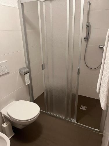 a bathroom with a toilet and a shower at App Sonne Nr 15 in Lutago