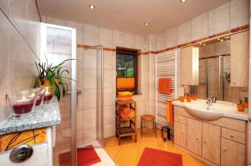 a bathroom with a sink and a mirror at Dischhansenhof in Glottertal