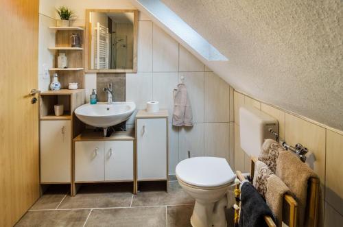 a bathroom with a toilet and a sink at Ferienwohnung Utkiek in Ihlow