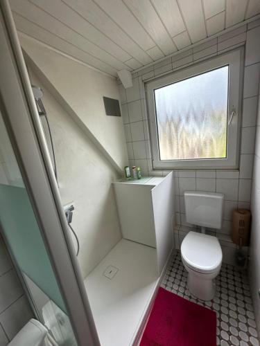 a small bathroom with a toilet and a window at Ferienwohnung Taunusnest in Limbach