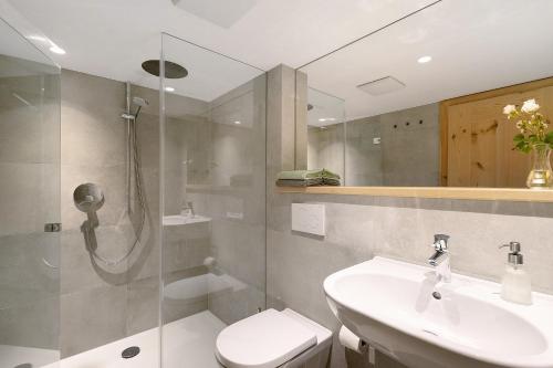 a bathroom with a toilet and a sink and a shower at Ansitz Baumannhof Apt Mitte in Falzes