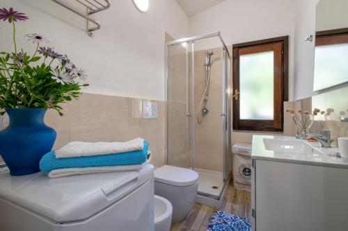 a bathroom with a toilet and a shower and a sink at Villa Aloe in Costa Paradiso