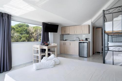 Iguana studio 18
