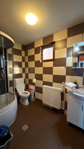 a bathroom with a toilet and a sink at Figa Retreat in Beclean