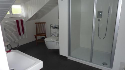 a bathroom with a shower and a toilet at Haus Elbrächter Ferienwohnung 2 in Gstadt am Chiemsee