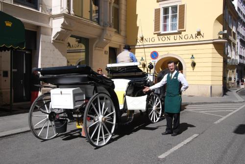 a woman standing next to a horse drawn carriage at Hotel König von Ungarn in Vienna