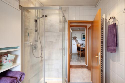 a bathroom with a walk in shower and a glass shower stall at Ferienwohnung Failte in Niederselters