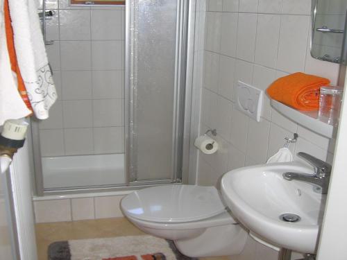 a bathroom with a shower and a toilet and a sink at Ferienwohnung Blattmann in Sankt Peter