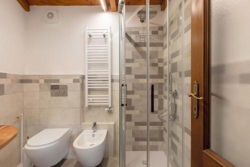 a bathroom with a toilet and a sink and a shower at Petite Maison Tillier in Fenis
