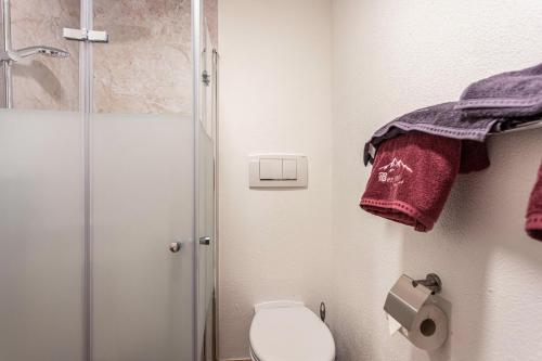 a small bathroom with a toilet and a shower at Bergwelt C in Niederau