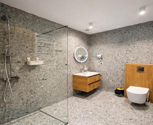 a bathroom with a shower and a sink and a toilet at Willa Deptak in Krynica Zdrój