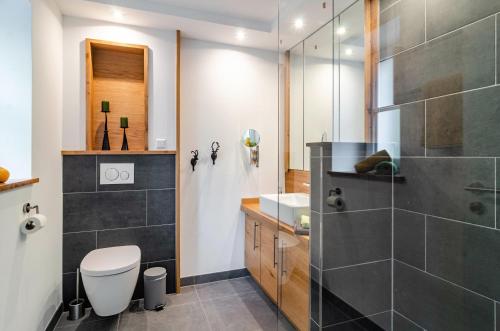 a bathroom with a shower and a toilet and a sink at Gästehaus Wüpping 2 in Salem