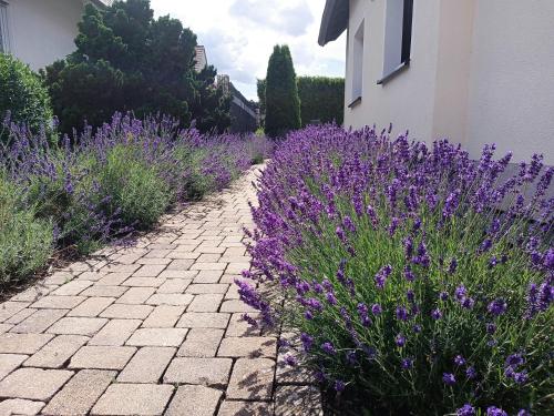 a garden with purple flowers next to a building at Ferienwohnung Sonnenblick und Relax in Nieder-Röhre