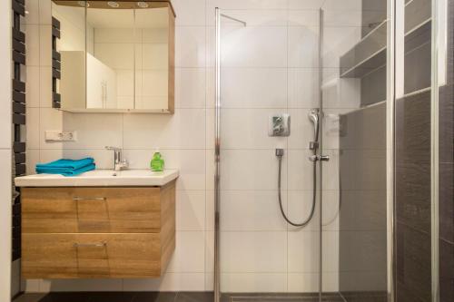 a bathroom with a shower and a sink at Ferienwohnung Lang in Kressbronn am Bodensee