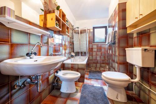 a bathroom with a sink and a toilet at Ferienwohnung Gatscherhof in Luson
