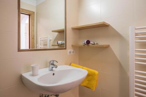 a bathroom with a sink and a mirror at Wollbach - Gruberhof in San Giacomo