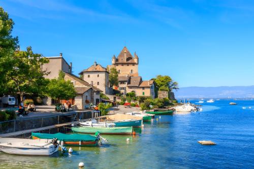 a group of boats docked in a body of water at Chalet 35m2 3 chambres in Sciez