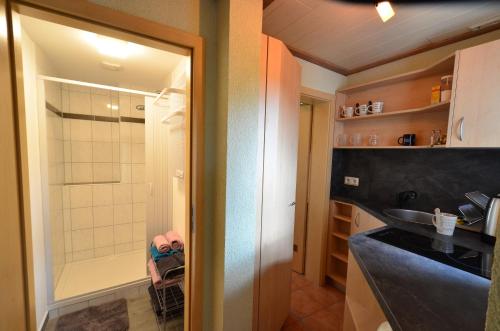 a small bathroom with a shower and a sink at Fewo Heym in Suhl