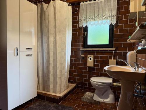 a bathroom with a toilet and a sink and a shower at Hideaway Kos in Loka pri Žusmu
