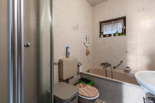 a bathroom with a toilet and a sink and a tub at Haus Sonnenschein Bad Säckingen in Bad Säckingen