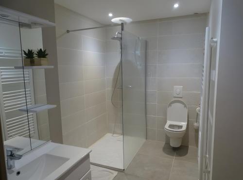 a bathroom with a toilet and a glass shower at Gite De Ségonzac in Villecomtal