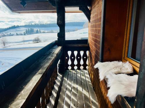 two dogs laying on a porch looking out of a window at Hof Wälderblick in Ibach