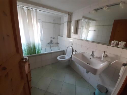 a bathroom with a sink and a toilet and a mirror at Kopf Frei auf 1000 Meter Wohnung 1 in Feldberg