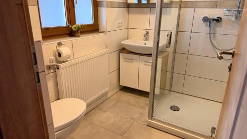 a bathroom with a shower and a toilet and a sink at Ferienwohnung Wetterstein in Mittenwald